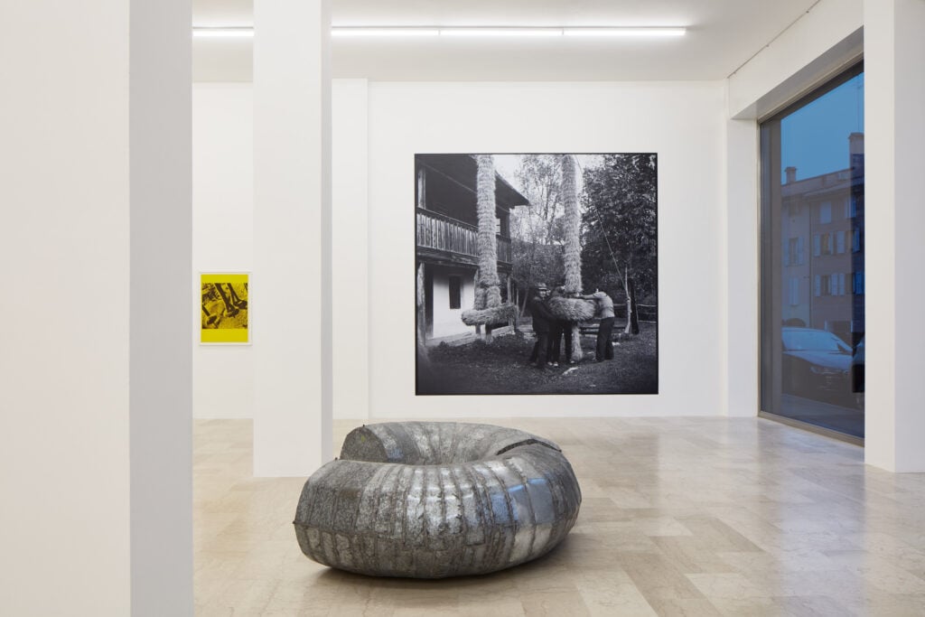 Ana Lupas, Armature, 2026, installation view, P420, Bologna. Courtesy P420
