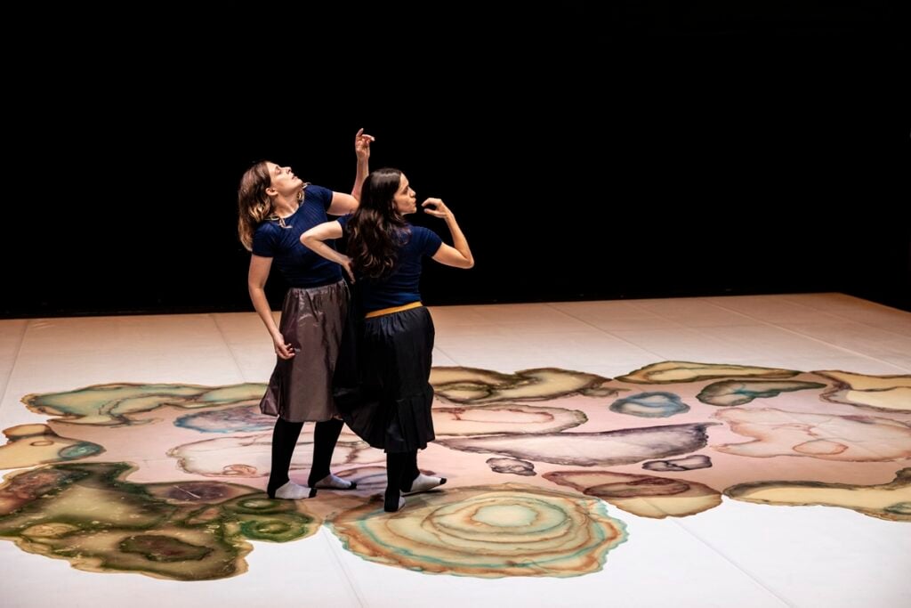 Annamaria Ajmone, Pianti lamenti pesci fossili,T riennale Fog 24, Lorenza Daverio