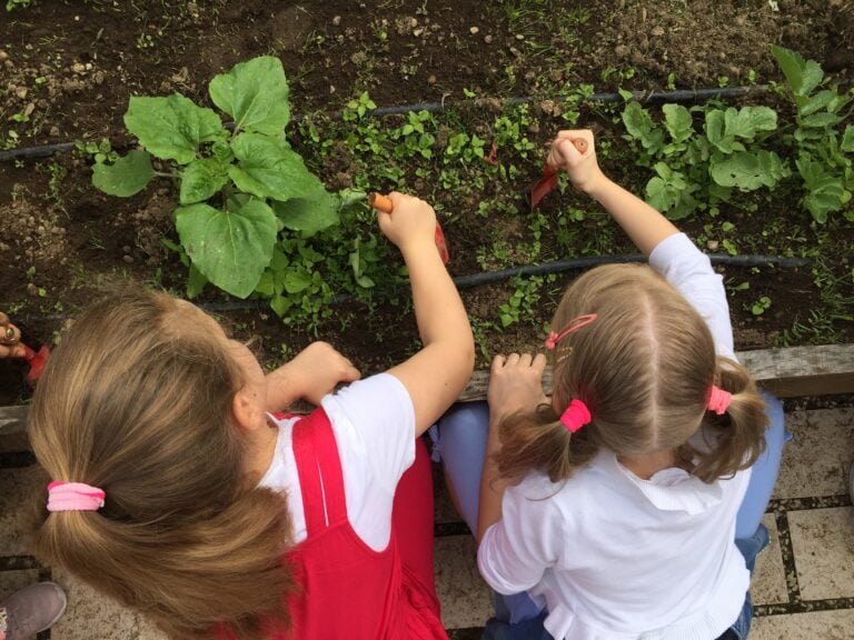 Circo, natura, danza e musica: il programma 2026 alla Biblioteca degli Alberi di Milano