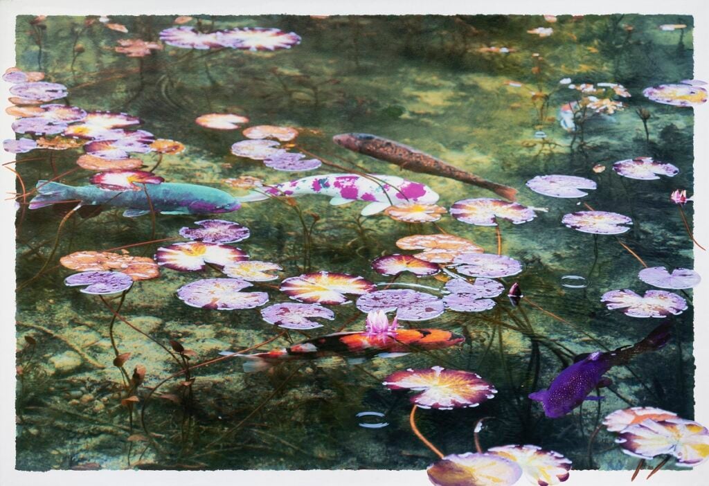 Aldo Salucci – Riflessi d’acqua: tra arte e natura