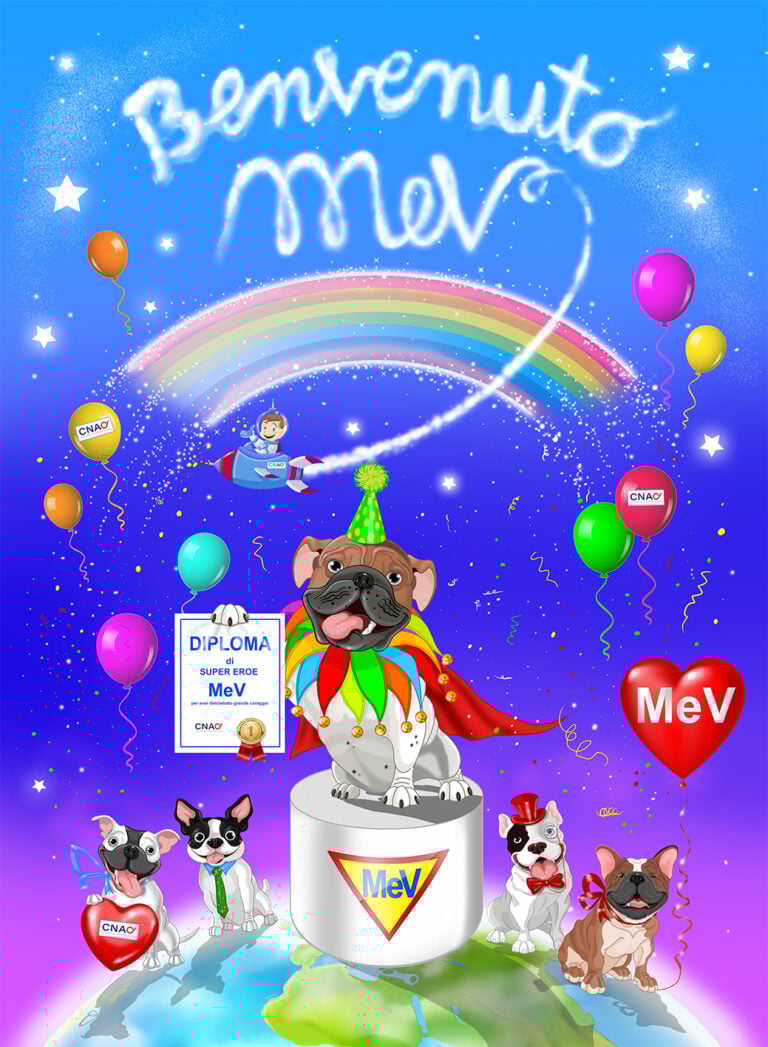 dettaglio parete MeV supereroe CNAO, Courtesy CNAO ospedale