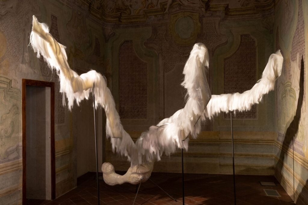 Diego Perrone, Pendio piovoso frusta la lingua, 2026