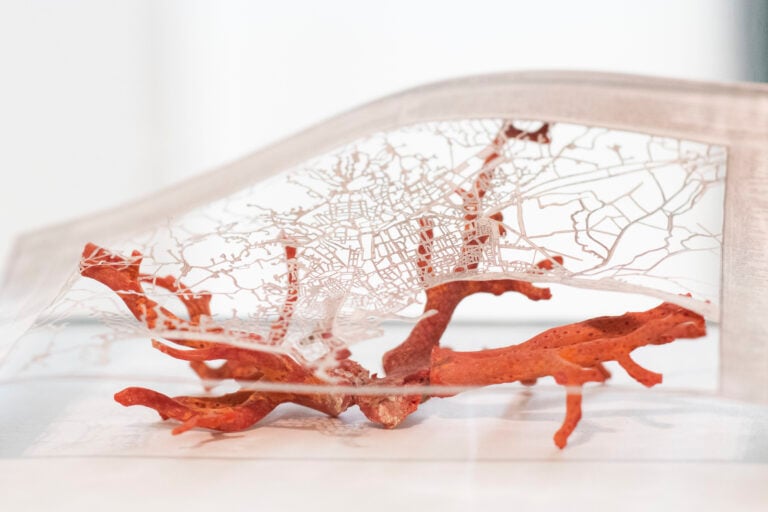 Elisabetta Di Maggio, "Frangibile", GAM Torino, Installation view, Ph Perottino