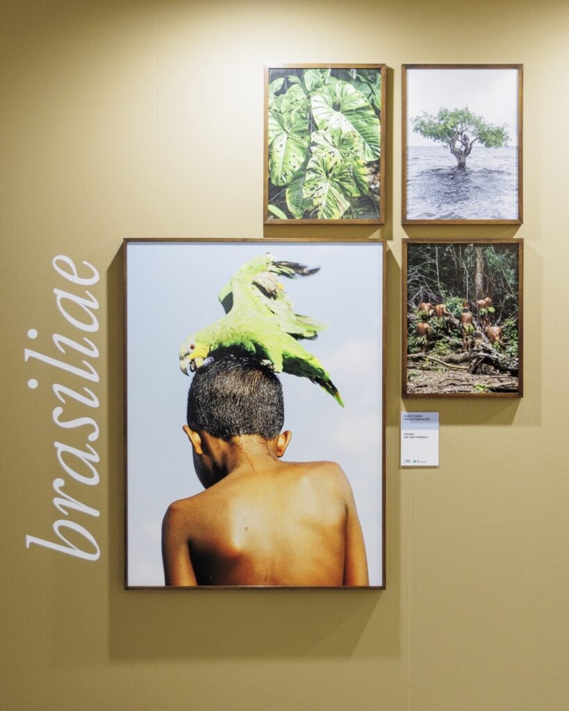 Gleeson Paulino, Faz de conta, 2018, stampa a pigmenti d&rsquo;archivio, 135 x 100 cm, 5. ORMA/CHROMA