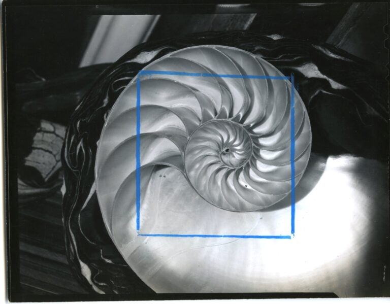 Horst P. Horst. Nautilus Pompileus II, 1945