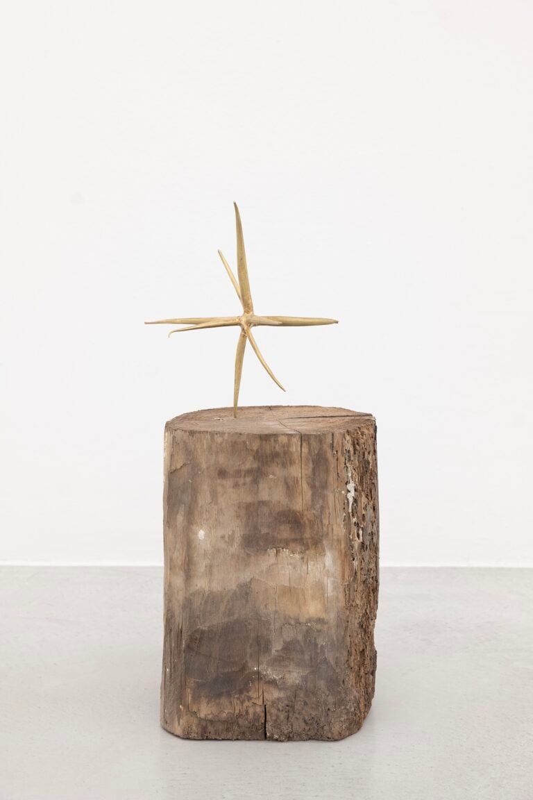 Ignazio Mortellaro, Le Dame I, 2025. Fusione a sabbia in ottone, tronco di legno, h. 28 cm, &Oslash; 19 cm