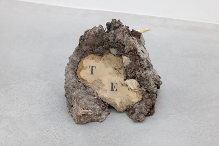 Ignazio Mortellaro, Time and Eternity, 2025, pietra e radica di ulivo