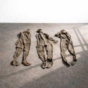 Dove bevono le radici