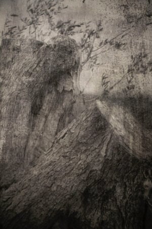 Giulia Barone - Pianissimo