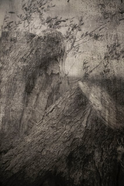 Giulia Barone – Pianissimo