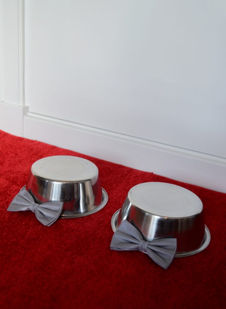 Finn Theuws – Wedge