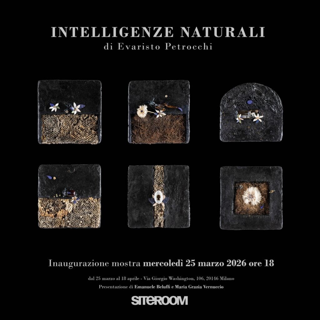 Evaristo Petrocchi – Intelligenze naturali