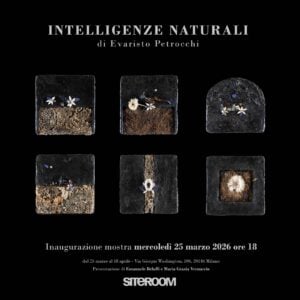 Evaristo Petrocchi - Intelligenze naturali