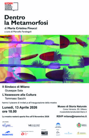 Maria Cristina Finucci - Dentro la Metamorfosi