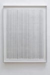 Iran do Espírito Santo b. 1963 Vertical Curtains 2, 2025 Signed and titled on the back Graphite on paper