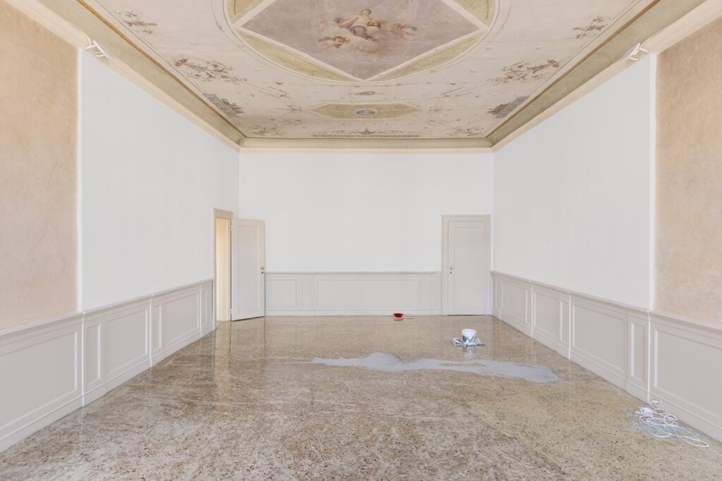 Jason Dodge con Yvo Cho, Keta Gavasheli, Megan Plunkett, Merry Alpern, Felice Tosalli, a cura di Luca Lo Pinto, installation view a Barbati Gallery, Venezia, 2026 &copy; Nicola Morittu