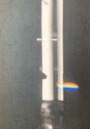 Linda Carrara - Il punto focale