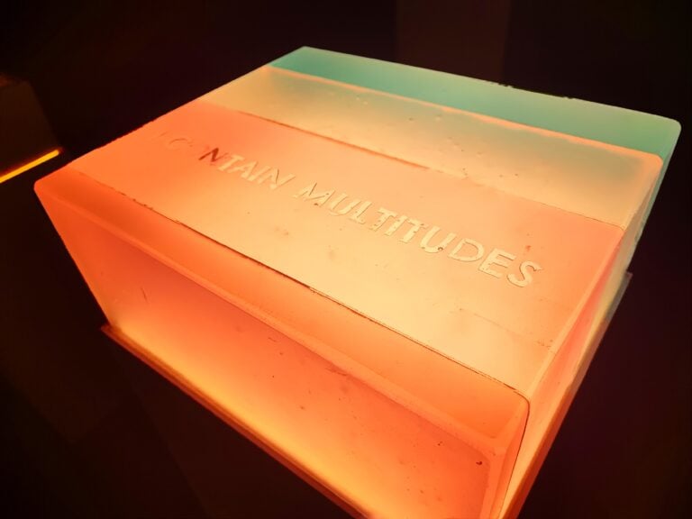 Marinella Senatore, I Contain Multitudes, 2022 (part). Ph G. Pisapia