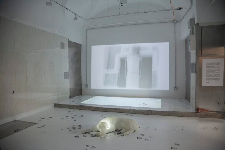 Ecco come un’ex macelleria di Genova è diventata un luogo dedicato alla sperimentazione artistica 