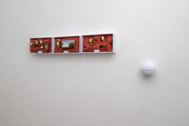 Beatrice Pasquali, Non pi&ugrave; grande di una mano aperta, Galleria Arrivada, Milano, Installation View &copy;Alberto Messina 2026