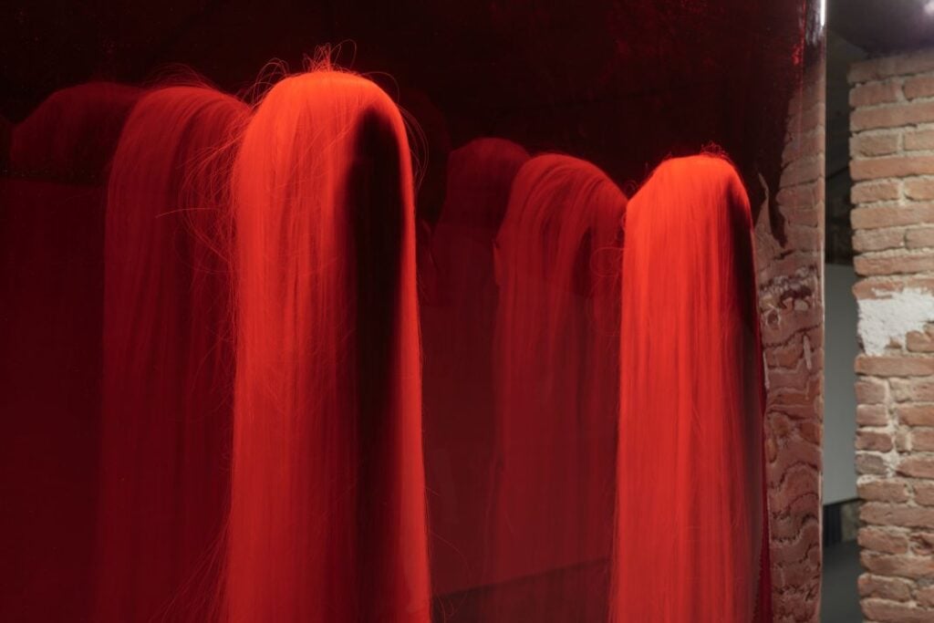 Michael E. Smith, CC, installation view a Palazzo Bentivoglio, Bologna, 2026. Photo Carlo Favero