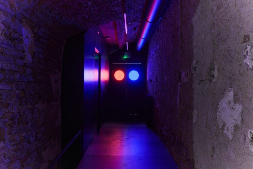 Michael E. Smith, CC, installation view a Palazzo Bentivoglio, Bologna, 2026. Photo Carlo Favero