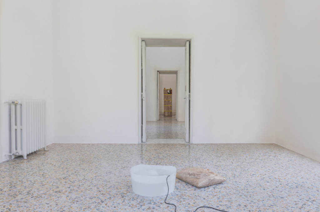 Nina Canell, Robin Watkins, K. Verlag, 2019