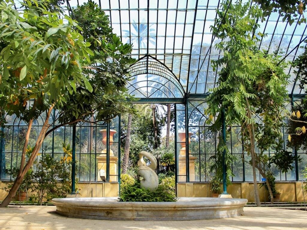 Orto Botanico di Palermo. Photo UNIPA