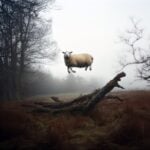 Phillip Toledano, Remove, 2025