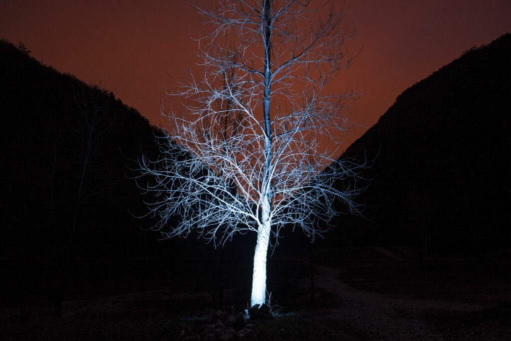 Nazzareno Berton / Sergio Carlesso – Re/Late