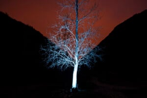 Nazzareno Berton / Sergio Carlesso - Re/Late