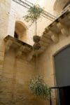 Shinji Turner-Yamamoto, Gloal Tree Project, Axis Mundi, 2026. Courtesy Malta Biennale 2026 - Heritage Malta