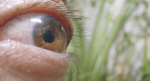 Anouk Chambaz - Sometimes I Get Goosebumps