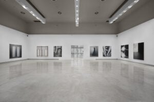 La pittura rarefatta e misteriosa di Marco Tirelli in mostra al Palazzo delle Esposizioni di Roma 