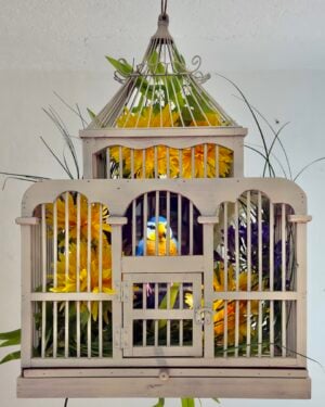 Matteo Mandelli - Consistency