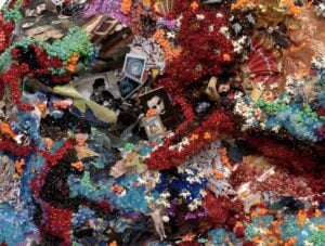 Raúl De Nieves - Chip star