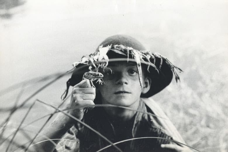 Bernardo Bertolucci. Il Novecento