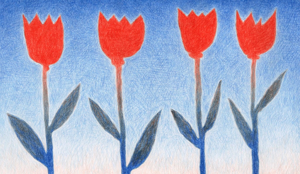 Jean-Frédéric Schnyder – La pittura 2024/25