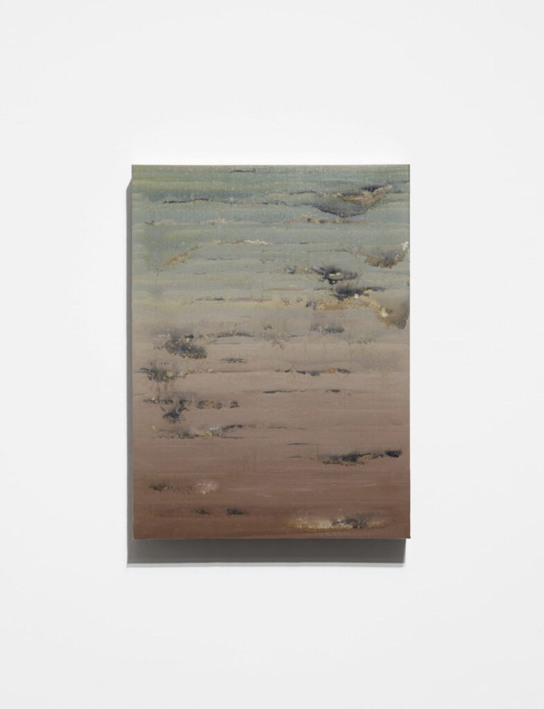 Stefano Cescon – Subsidere