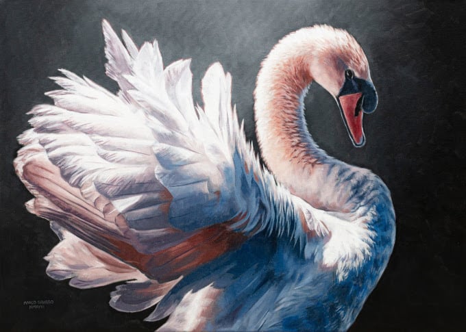 Marco Grasso – Wild by Design