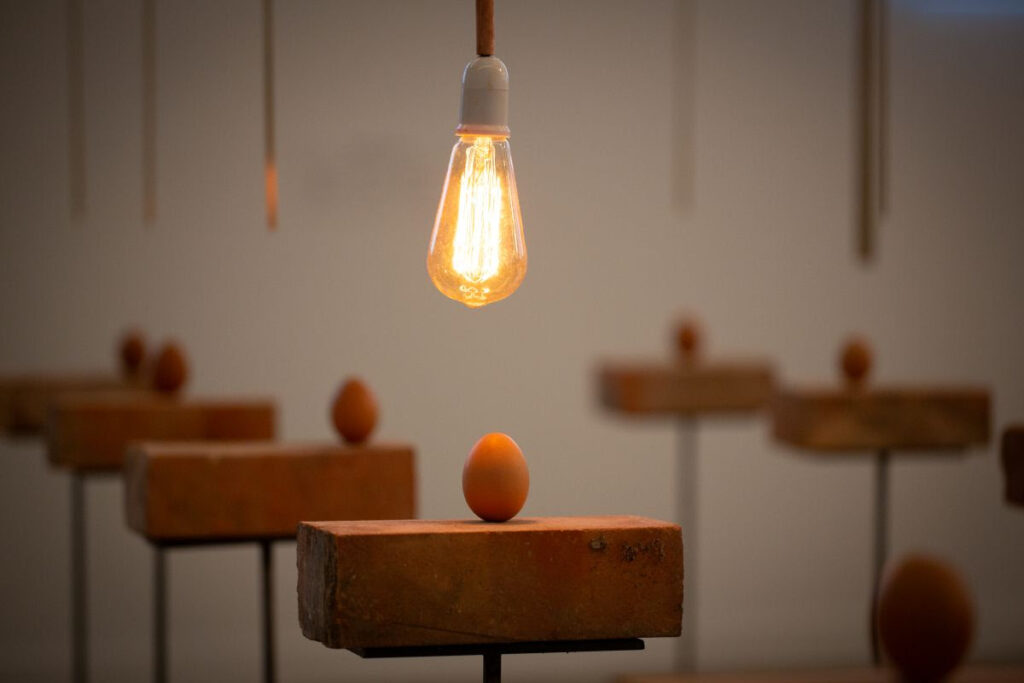 Inserzioni – Chaile | Holley | Takriti