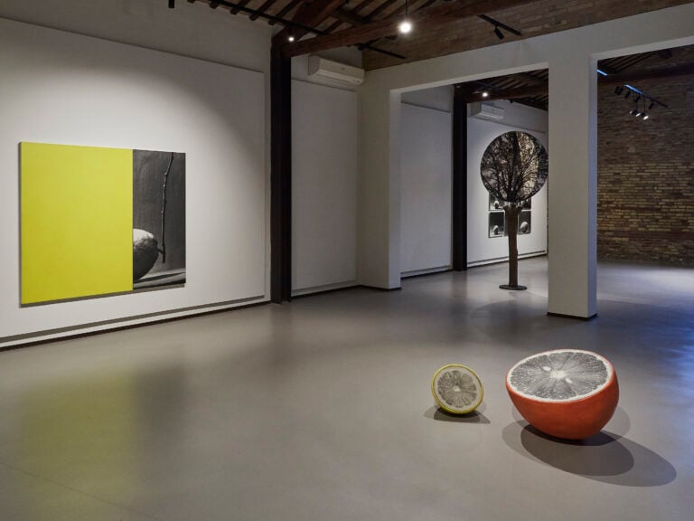 Veduta della mostra: Immagini nello spazio, Nataly Maier, Fondazione Sabe per l'arte. Ph: Daniele Casadio