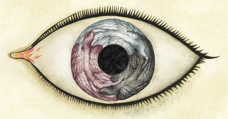 &ldquo;Wunderkammer&rdquo;, &copy;Ana Juan CentroCentro, Madrid