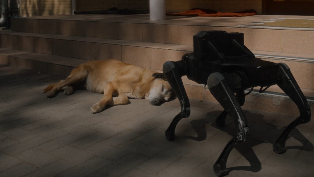 Yarema Malashchuk and Roman Khimei, Open World, 2025