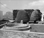 Yorgos Lanthimos, tns 61. Courtesy Yorgos Lanthimos