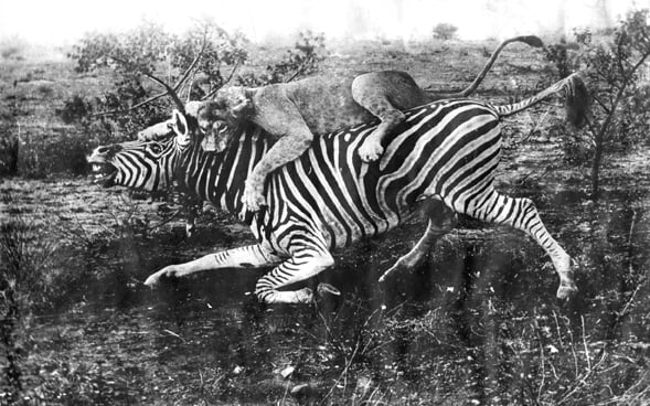 Raimondo Franchetti, la storia dell’ultimo esploratore