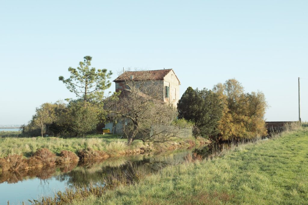 Luca Capuano – Di felci di faggi di dune