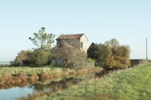 Luca Capuano - Di felci di faggi di dune