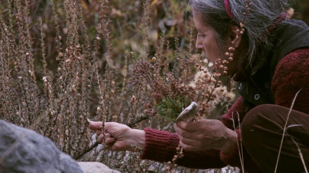 Cecilia Vicu&ntilde;a, Semiya (Seed Song), 2015, filmstill. Courtesy: Cecilia Vicu&ntilde;a, Electronic Arts Intermix (EAI), New York. &copy; Cecilia Vicu&ntilde;a, Bildrecht Wien / Vienna 2026