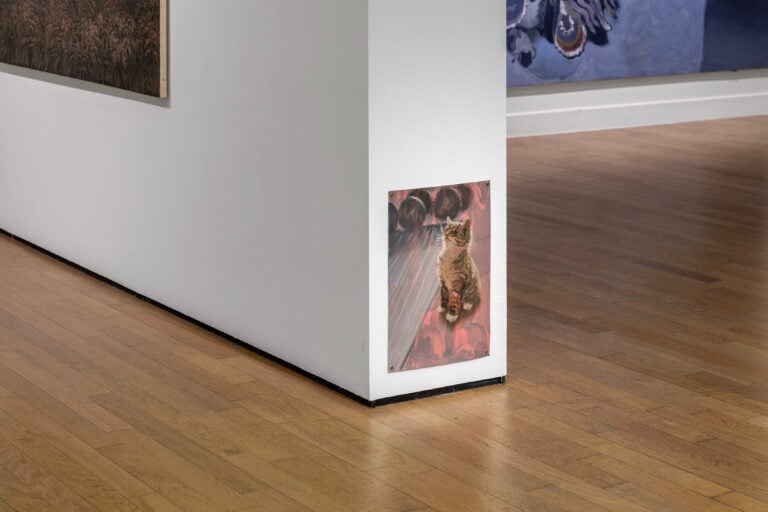 More Than This, vista della mostra, Pinacoteca Nazionale, Bologna, 2026, photo Irene Fanizza